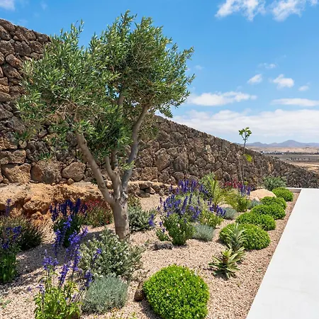 Villa White Lava By Aura Collection *